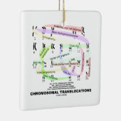 染色体の転置(Karyogram) メタルオーナメント (右)