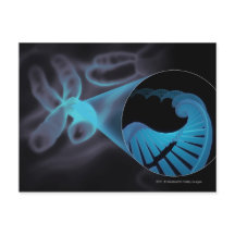 染色体のDNA鎖をズームインする