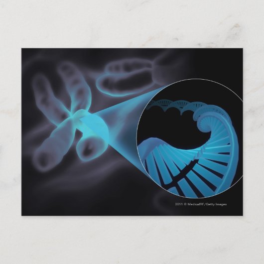 染色体のDNA鎖をズームインする ポストカード (正面)