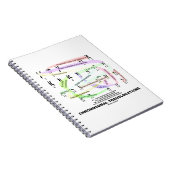 染色体転位(核文字) ノートブック (右側)