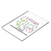染色体転位(核文字) ノートブック (左側)