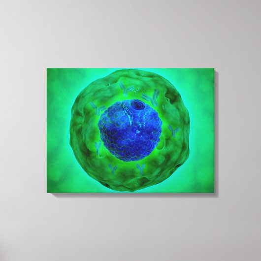 染色体1の細胞核 キャンバスプリント (正面)