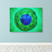 染色体1の細胞核 キャンバスプリント (インサイチュ (ウッドフロア))