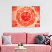 染色体2の細胞核 キャンバスプリント (インサイチュ (リビング))