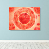 染色体2の細胞核 キャンバスプリント (インサイチュ (ウッドフロア))