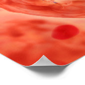 染色体2の細胞核 ポスター (角)