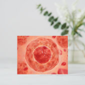 染色体2の細胞核 ポストカード (スタンド正面)