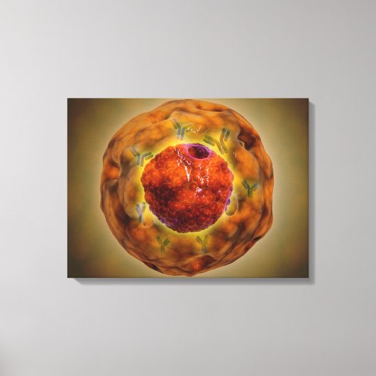 染色体3の細胞核 キャンバスプリント (正面)