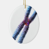 染色体 セラミックオーナメント (右)