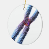 染色体 セラミックオーナメント (左)