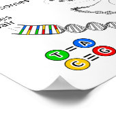 染色体 ポスター (角)