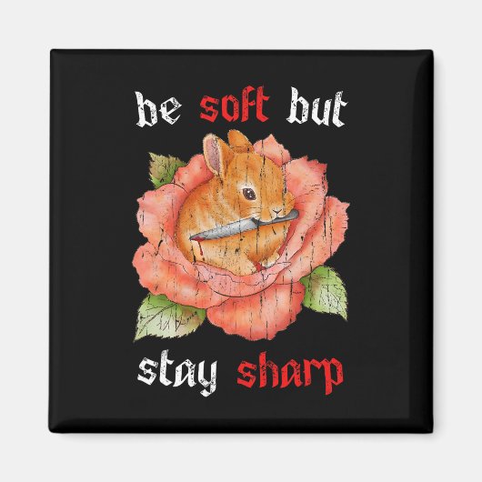 柔らかいがシャープである マグネット (正面)