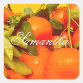 柔らかいオレンジ色の果実の美学 スクエアシール (正面)