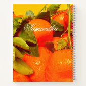 柔らかいオレンジ色の果実の美学 ノートブック (裏面)