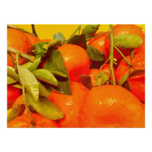 柔らかいオレンジ色の果実の美学