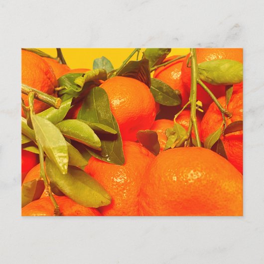柔らかいオレンジ色の果実の美学 ポストカード (正面)