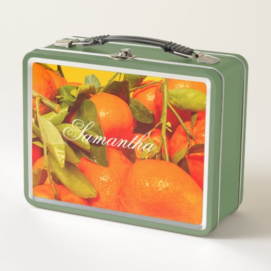 柔らかいオレンジ色の果実の美学 メタルランチボックス (正面)