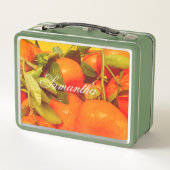 柔らかいオレンジ色の果実の美学 メタルランチボックス (裏面)