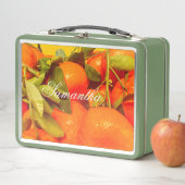 柔らかいオレンジ色の果実の美学 メタルランチボックス (インサイチュ)