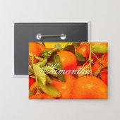 柔らかいオレンジ色の果実の美学 缶バッジ (正面/裏面)