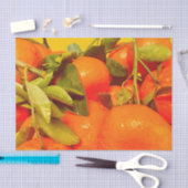 柔らかいオレンジ色の果実の美学 薄葉紙 (クラフト)