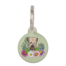 柔らかいコーティングされたカーテン状テリアの頭のカラフル花