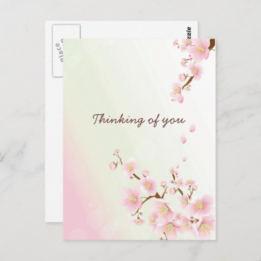 柔らかいピンクと白いさくらんぼの花 ポストカード (正面/裏面)