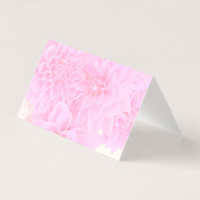 柔らかいピンクのダリア (正面)