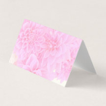 柔らかいピンクのダリア