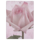 柔らかいピンクのバラの花 クリップボード (裏面)
