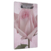 柔らかいピンクのバラの花 クリップボード (右)