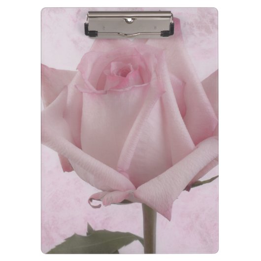 柔らかいピンクのバラの花 クリップボード (正面)