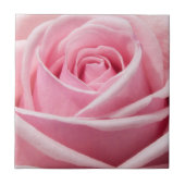 柔らかいピンクのバラ タイル (正面)