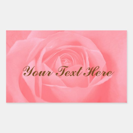 柔らかいピンクのバラ 長方形シール (正面)
