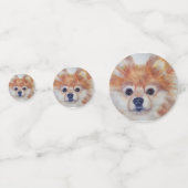 柔らかいポメラニア犬の子犬の誕生日 コンフェッティ (正面)