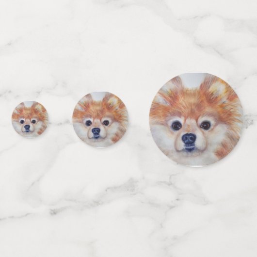 柔らかいポメラニア犬の子犬の誕生日 コンフェッティ (正面)