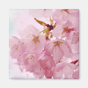 柔らかいヴィンテージのピンクの桜 マグネット