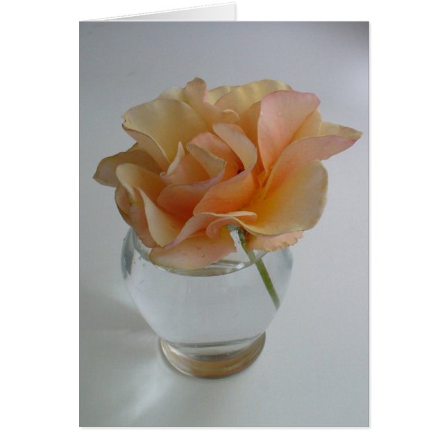 柔らかい上がりました (正面)