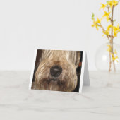 柔らかい上塗を施してあるwheaton terrier.png カード (黄色い花)
