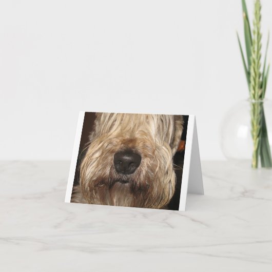 柔らかい上塗を施してあるwheaton terrier.png カード (正面)