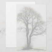 柔らかい冬の木 便箋 (正面/裏面)
