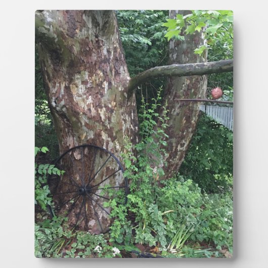 柔らかい夏の雨 フォトプラーク (正面)