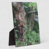 柔らかい夏の雨 フォトプラーク (側面)