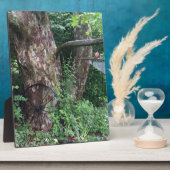 柔らかい夏の雨 フォトプラーク (側面)