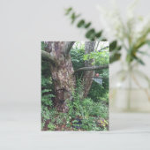 柔らかい夏の雨 ポストカード (スタンド正面)