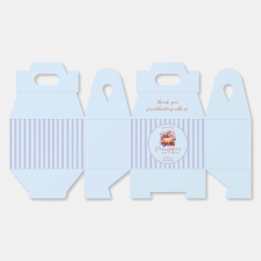 柔らかい小さなカボチャは赤ちゃんシャワーの途中にある フェイバーボックス (見開き)