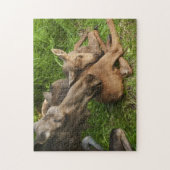 柔らかい母アメリカヘラジカ ジグソーパズル (縦)