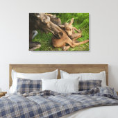 柔らかい母ムース キャンバスプリント (インサイチュ (寝室))