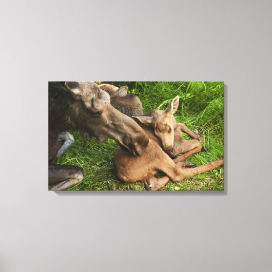 柔らかい母ムース キャンバスプリント (正面)