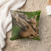 柔らかい母ムース クッション (ブランケット)